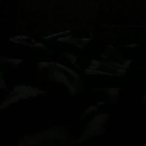 Meet your Posher, Troinaysia